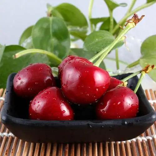 鲜贝达顺丰美早大樱桃jjj3032mm2斤单果15g以上净重18斤车厘子