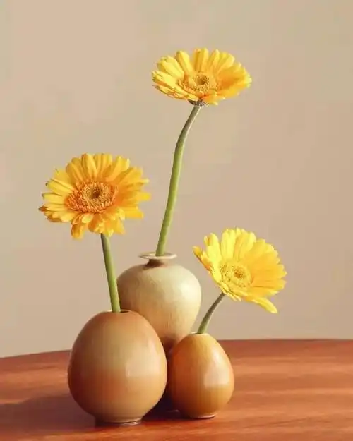 淡泊名利,才能拥有快乐人生_生活_公众_因为