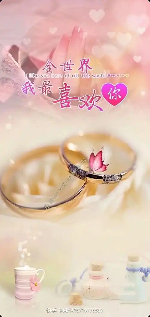 美文欣赏 亲爱的你在哪里 作者 小鸭鸭