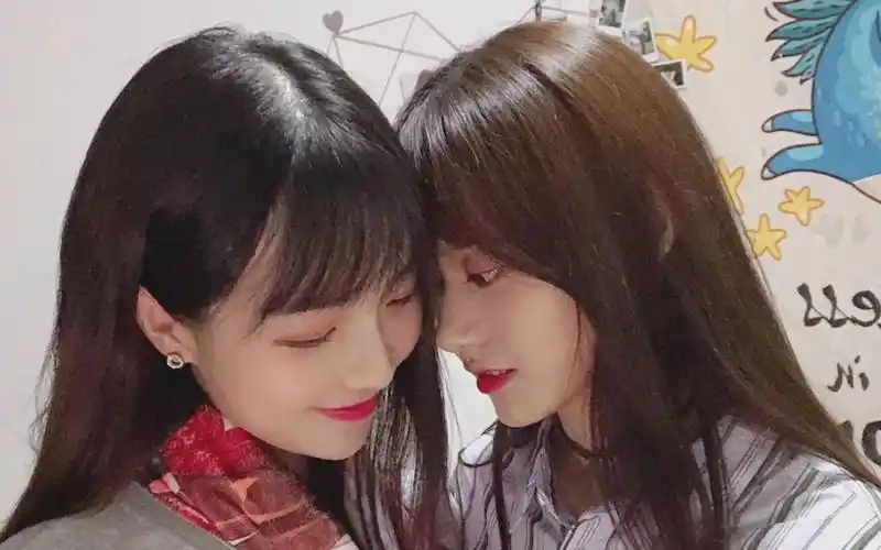 [snh48]teamhii爱吃兔cp群像