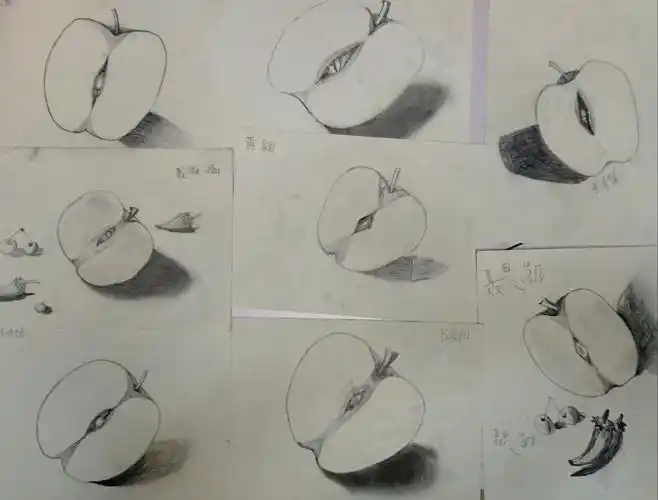 美术 素描基础 优秀作品集