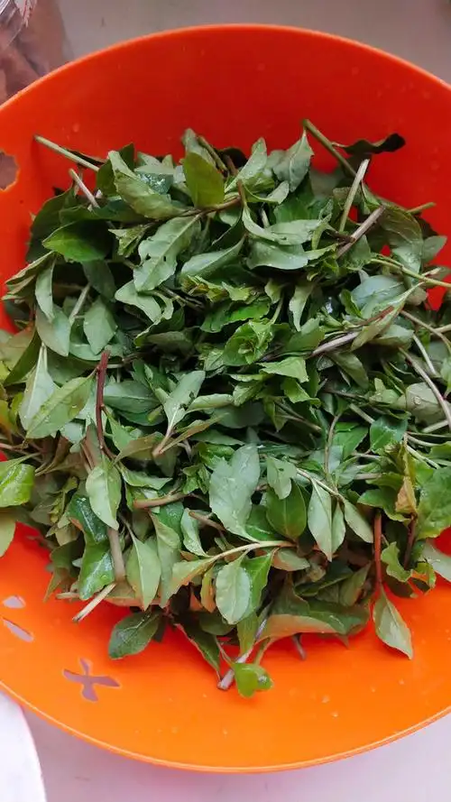 枸杞菜头炒鸡蛋07