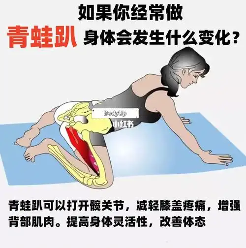 青蛙趴这个姿势有什么作用