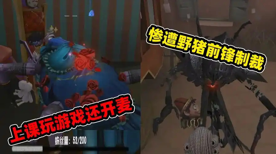 出击:小黄鸭惨遭野猪前锋偷袭,导演追击球手被迫上网课#电竞导演见