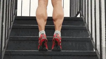 wildfieldhealth女生肌肉型小腿是什么体验