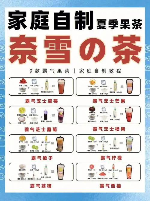奈雪の茶78家庭自制教程609款霸气果茶