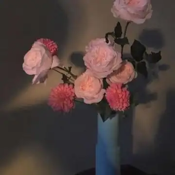 适合爸爸妈妈微信头像 中老年微信头像风景图片