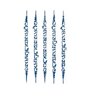 植物果汁a纹贴贴泰国佛经防水不反光花臂刺青男半永久草本纹身身