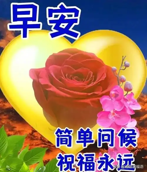 创意唯美亲人朋友早上好祝福语图片大全免打字清晨早安问候语图片