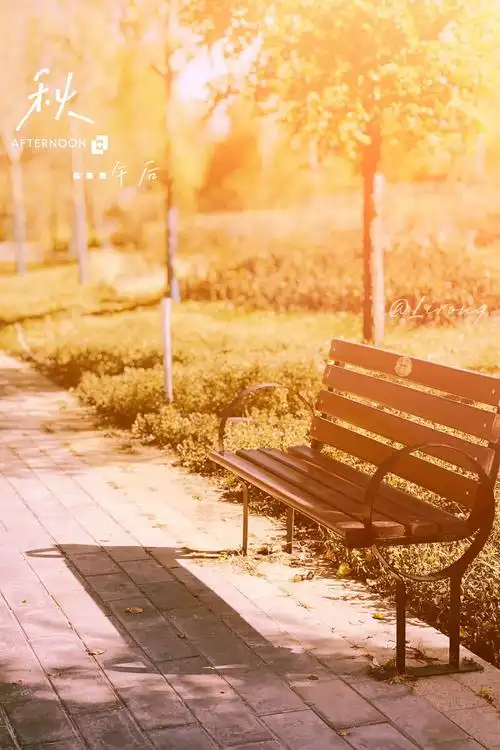 暖暖的午后时光,何事也不用去想,只是安静的晒着太阳,便是一种美好.