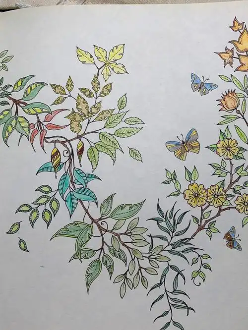 秘密花园涂色清明时节