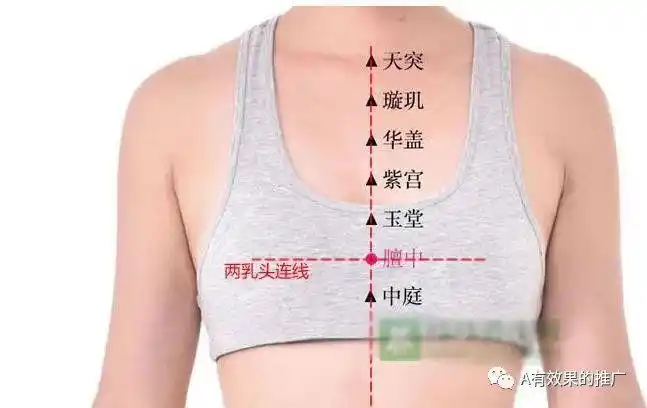 紫宫穴:标准定位:紫宫穴在人体胸部,当前正中线上,平第2肋间.
