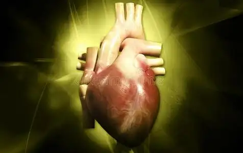 人的心脏照片