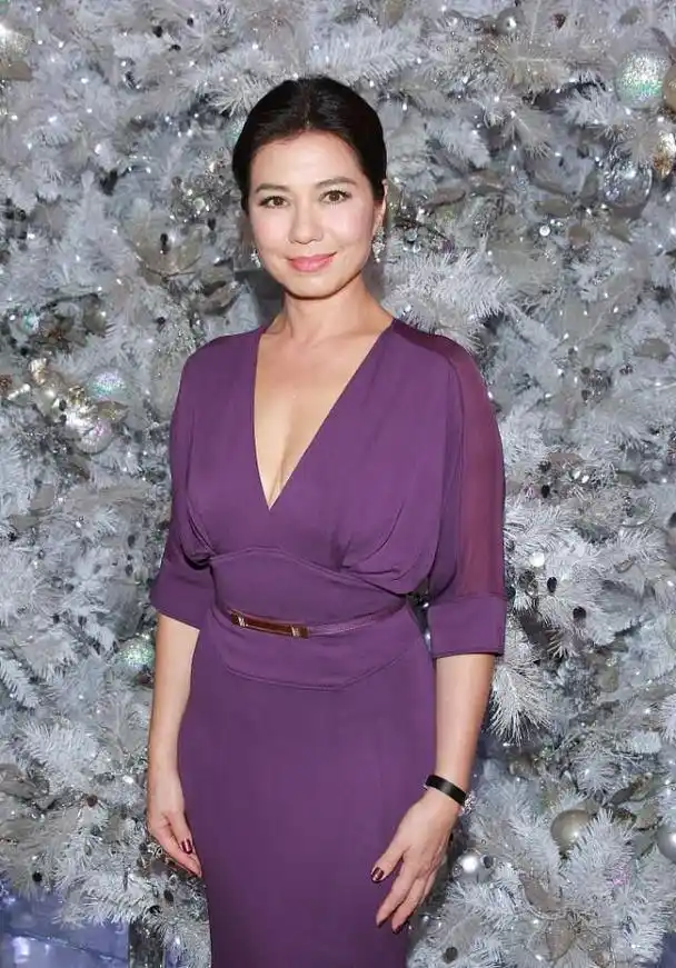 钟楚红的身材保持得挺不错,丰满有余好高级,穿紫色裙尽显韵味