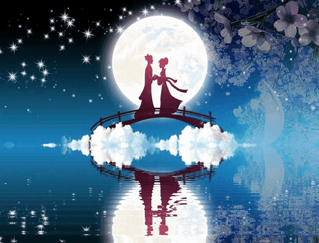 728_556gif 动态图 动图