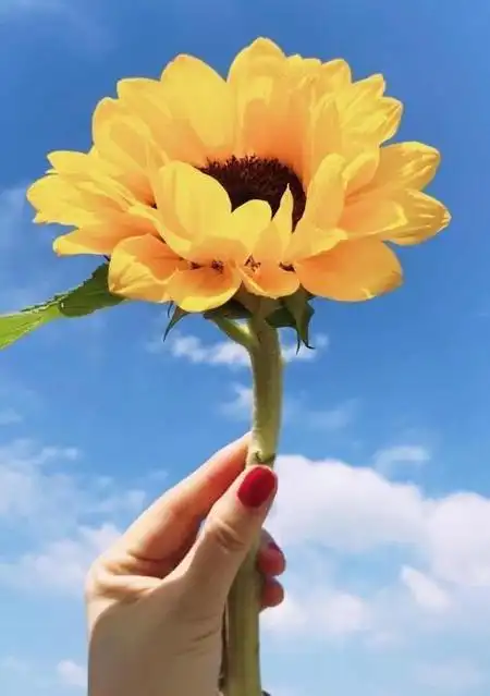 5.4青年节励志祝福短信,愿你节日快乐,永葆青春!