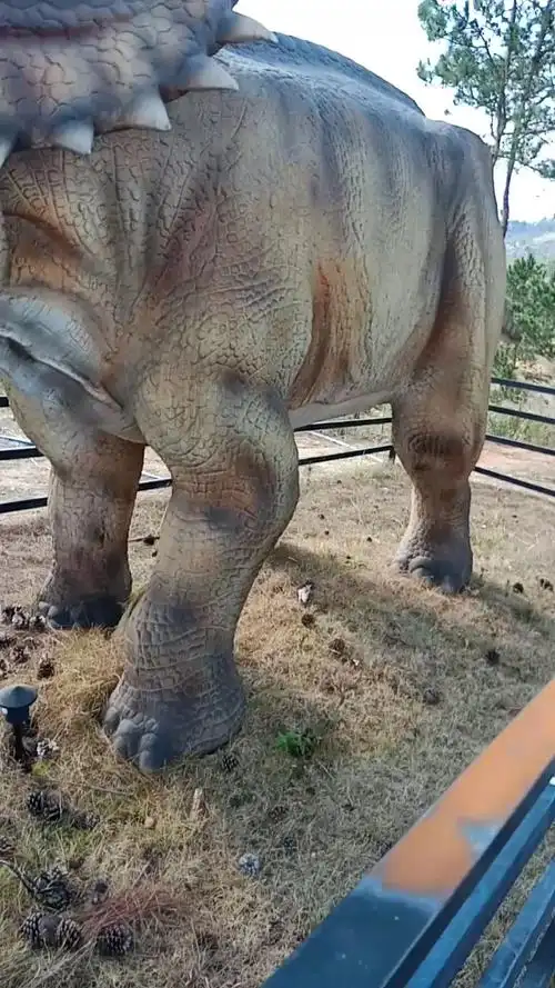 又来一个多角龙