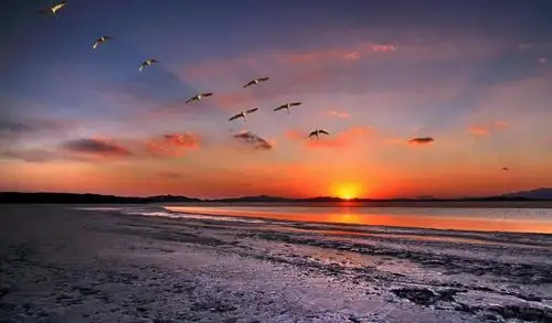 【黄袍】2018第68期李志揽月