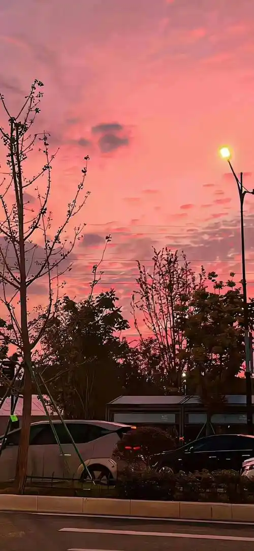 壁纸|暗色系氛围感 锁屏壁纸