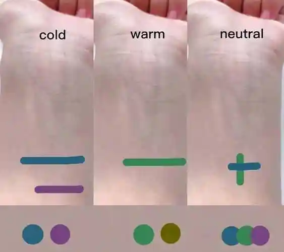 黄一白黄二白怎么分辨黄一白黄二白黄三白怎么判断