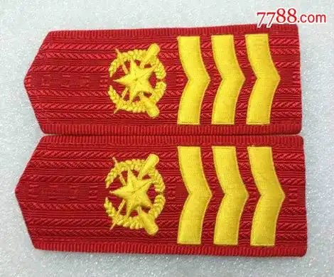 99武*退役肩章/退役肩章/六期硬肩章