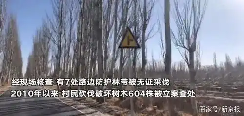 敦煌阳关林场万亩林地遭砍伐?调查组:毁林开垦567亩 砍树604株