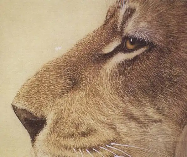 工笔狮子的丝毛技法_中远博学书画教育-中国书画函授现代远程教育中心