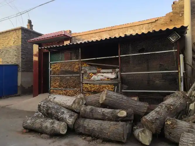 祁县农村玉米笼组图合集大全越失败越有趣