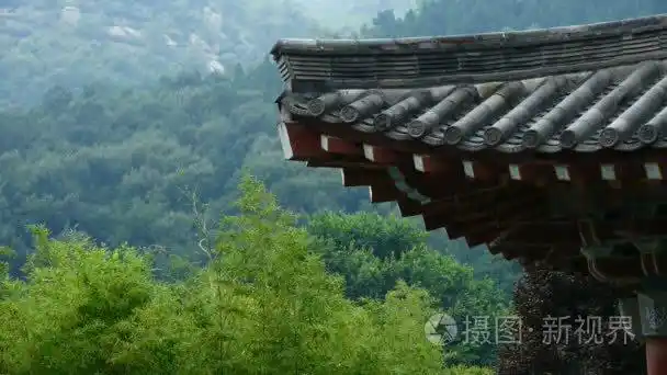中国古代的寺庙建筑在森林里,竹子山山短视频