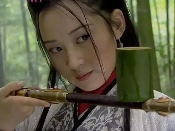 李亚鹏演过的电视剧大全(全部)(张纪中的5部金庸剧)_金纳莱网