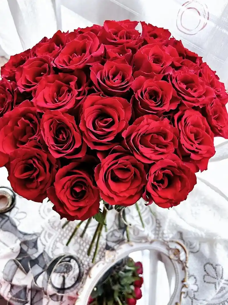 "热烈的爱"各种红玫瑰合集#玫瑰 #浪漫至死不渝 #一束花 - 抖音