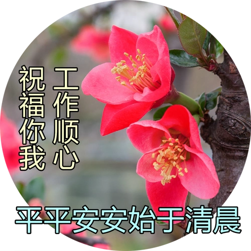 周末慰问大家早上好动态图片表情精选,早上好祝福问候语