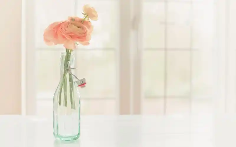 花朵,花瓶,窗边,文艺,唯美,意境,安静,填满未来的流年,jojocooper花朵