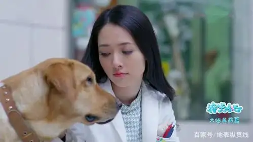 郭碧婷《神犬小七》中的剧照,饰演外表冷漠刻板,内心善良的丁涵