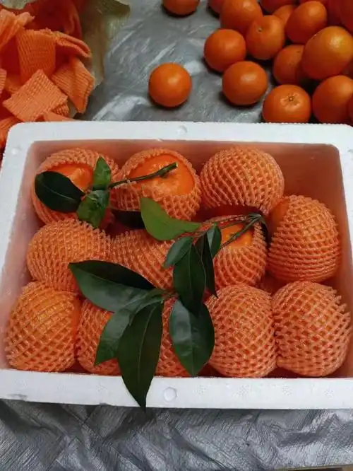 武鸣沃柑10斤新鲜水果纯甜柑橘当季整箱