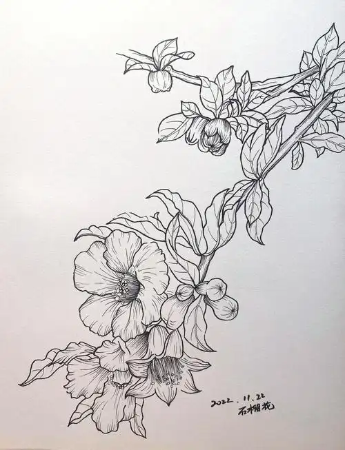 艳而不娇石榴花画画练习day23附过程