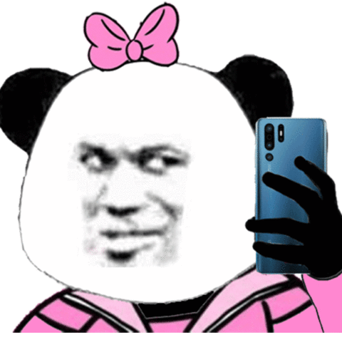 熊猫头拿手机自拍表情包自拍熊猫手机表情