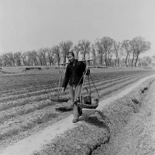 一组民国时期农民务农的老照片,最后一张你知道是在干什么吗?