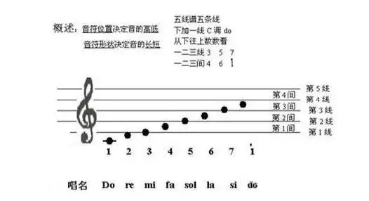 认识五线谱和简谱 认识音符,节拍,节奏,拍子