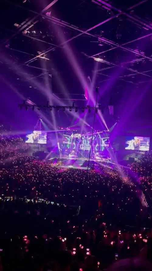 blackpink巴黎场大型蹦迪现场