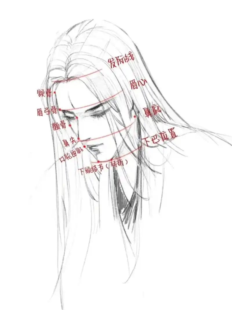 两个角度头部结构分析.线稿练习  #摸鱼 #板绘 #绘画 # - 抖音