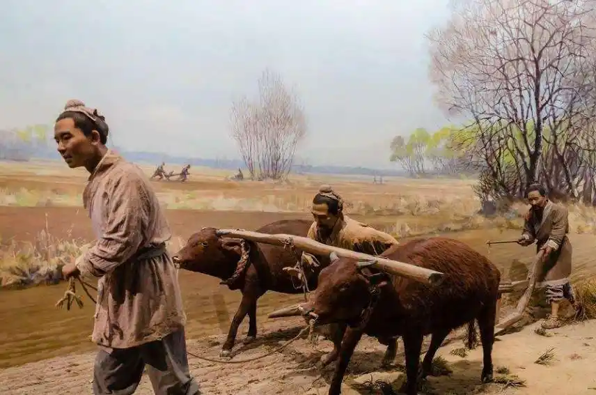 古代老百姓都很穷苦,为何还生那么多孩子?能养得起吗