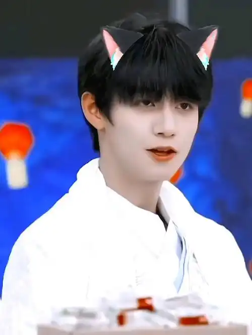 【朱志鑫】猫咪出动