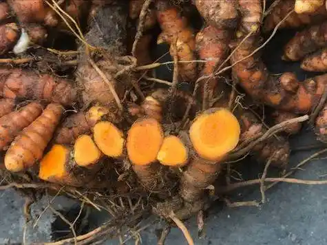 颜色_功效_植物