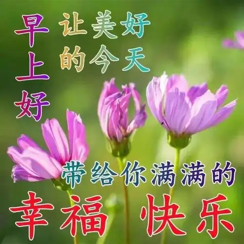 早安图片暖心的问候语短信早安最温馨的文字祝福图片