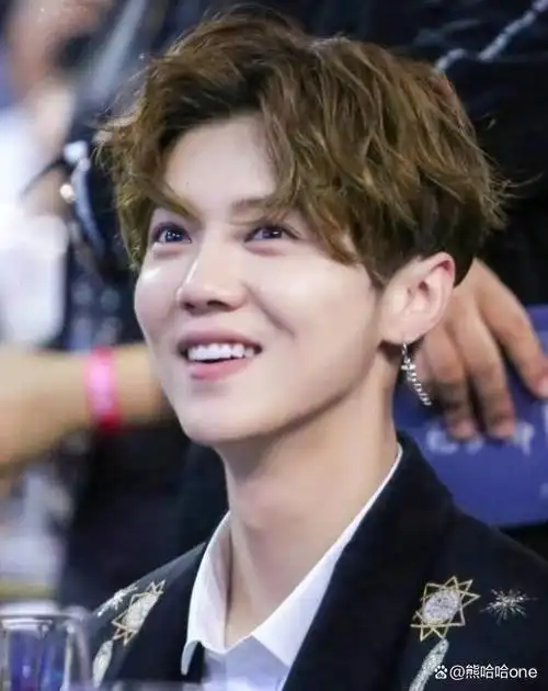 人生经历:鹿晗是中国内地流行乐男歌手和影视演员.