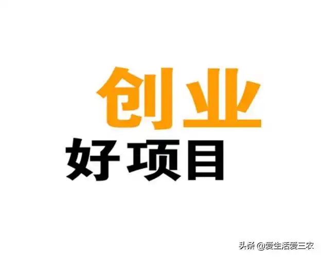 别跟风创业了,这些冷门项目更合适,建议收藏!