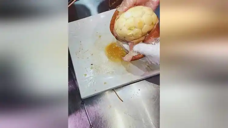 还以为里面是好吃的,打开一看,瞬间没食欲了