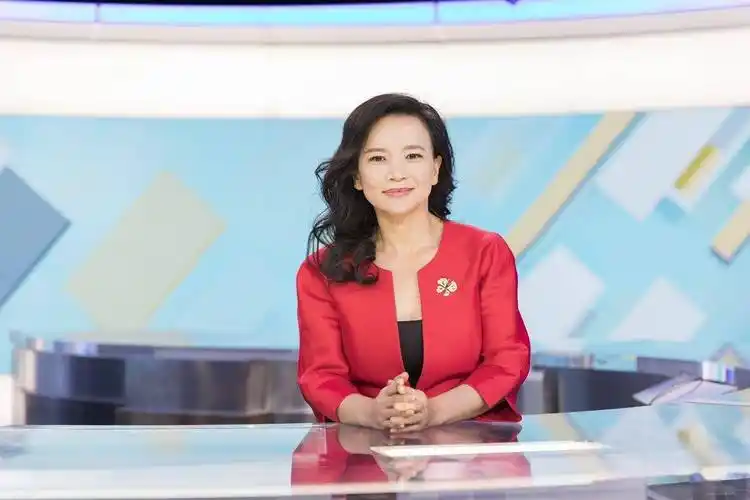 央视间谍成蕾(央视间谍成蕾判了什么刑)