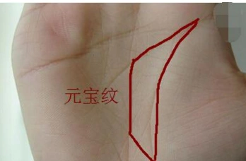 手掌中有这个三角形状纹,代表财库,三角越大钱就越多|手相|手掌|三角